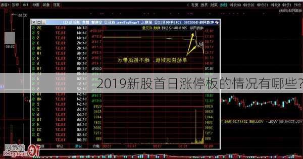 2019新股首日涨停板的情况有哪些？