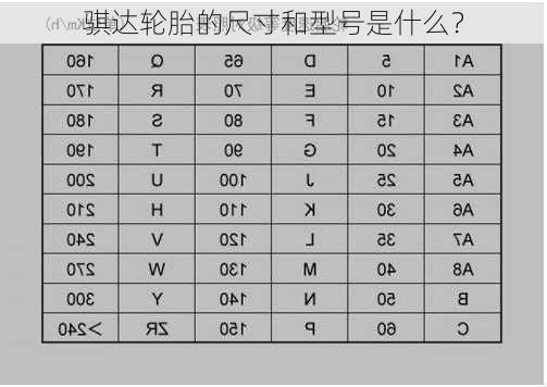 骐达轮胎的尺寸和型号是什么？