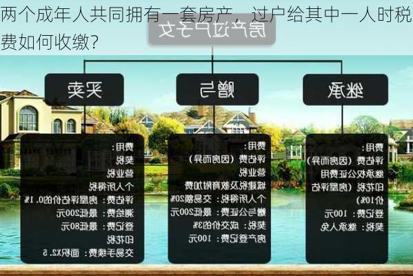 两个成年人共同拥有一套房产，过户给其中一人时税费如何收缴？