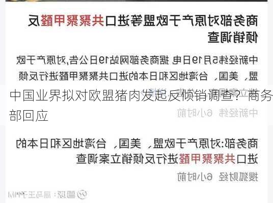 中国业界拟对欧盟猪肉发起反倾销调查？商务部回应