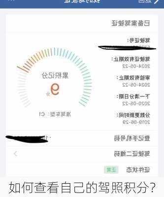 如何查看自己的驾照积分？