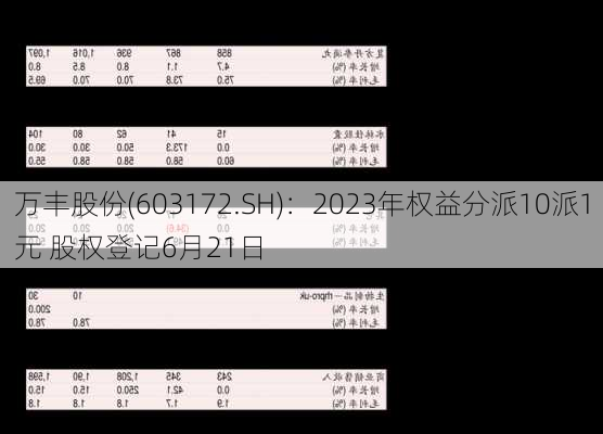 万丰股份(603172.SH)：2023年权益分派10派1元 股权登记6月21日