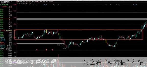 怎么看“科特估”行情？