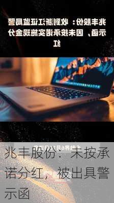 兆丰股份：未按承诺分红，被出具警示函