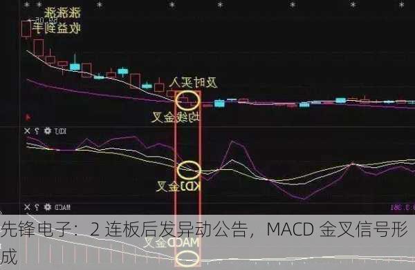 先锋电子：2 连板后发异动公告，MACD 金叉信号形成