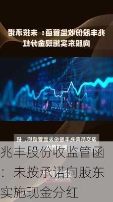 兆丰股份收监管函：未按承诺向股东实施现金分红