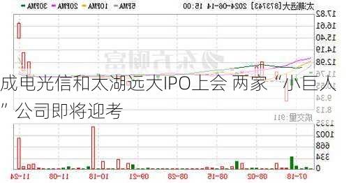 成电光信和太湖远大IPO上会 两家“小巨人”公司即将迎考