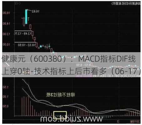 健康元（600380）：MACD指标DIF线上穿0轴-技术指标上后市看多（06-17）