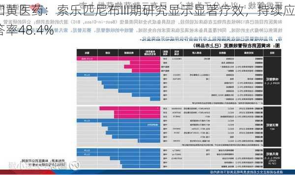 和黄医药：索乐匹尼布III期研究显示显著疗效，持续应答率48.4%