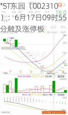 *ST东园（002310）：6月17日09时55分触及涨停板