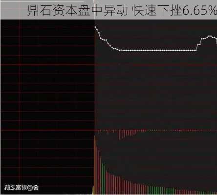 鼎石资本盘中异动 快速下挫6.65%