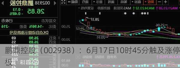 鹏鼎控股（002938）：6月17日10时45分触及涨停板