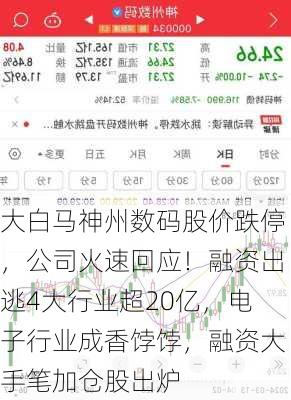 大白马神州数码股价跌停，公司火速回应！融资出逃4大行业超20亿，电子行业成香饽饽，融资大手笔加仓股出炉