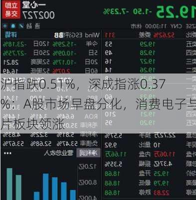 沪指跌0.51%，深成指涨0.37%：A股市场早盘分化，消费电子与芯片板块领涨