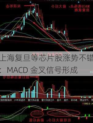 上海复旦等芯片股涨势不错：MACD 金叉信号形成