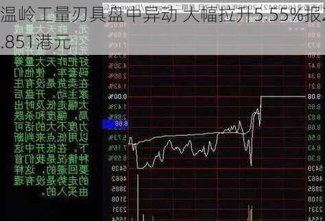 温岭工量刃具盘中异动 大幅拉升5.55%报2.851港元