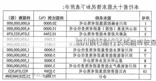 四川银行副行长杨朝晖被查