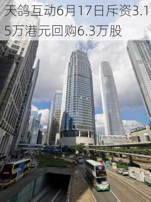 天鸽互动6月17日斥资3.15万港元回购6.3万股