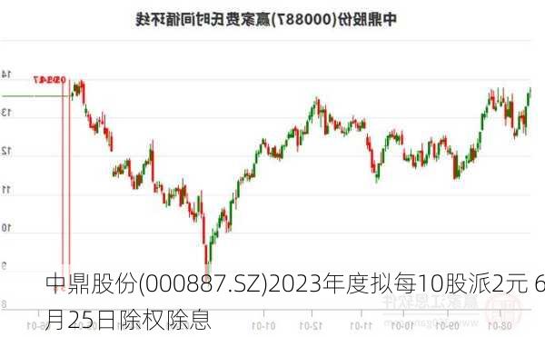 中鼎股份(000887.SZ)2023年度拟每10股派2元 6月25日除权除息