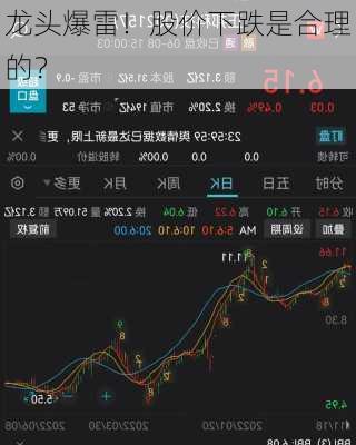 龙头爆雷！股价下跌是合理的？