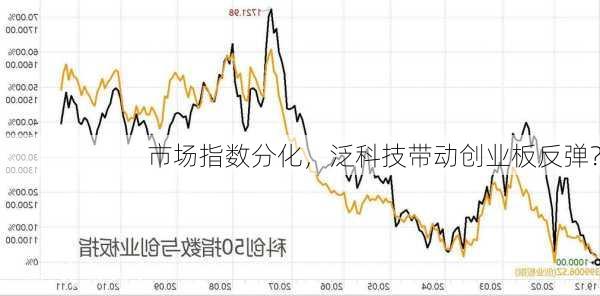 市场指数分化，泛科技带动创业板反弹？