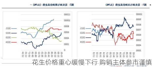 花生价格重心缓慢下行 购销主体参市谨慎