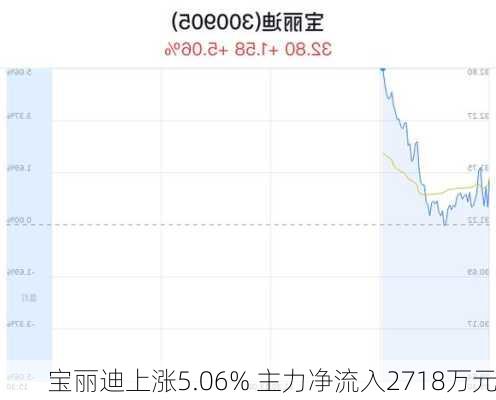 宝丽迪上涨5.06% 主力净流入2718万元