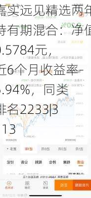 嘉实远见精选两年持有期混合：净值0.5784元，近6个月收益率-5.94%，同类排名2233|3113