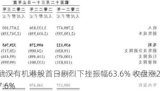 武汉有机港股首日剧烈下挫振幅63.6% 收盘涨27.6%