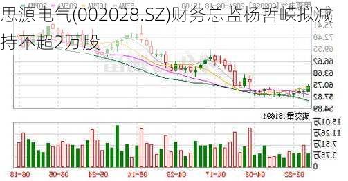 思源电气(002028.SZ)财务总监杨哲嵘拟减持不超2万股