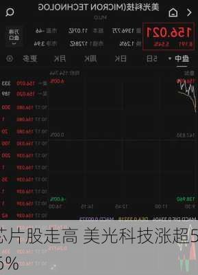 芯片股走高 美光科技涨超5.6%