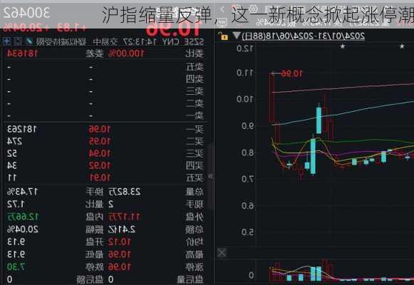 沪指缩量反弹，这一新概念掀起涨停潮