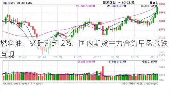 燃料油、锰硅涨超 2%：国内期货主力合约早盘涨跌互现