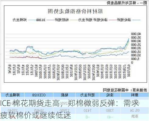 ICE 棉花期货走高，郑棉微弱反弹：需求疲软棉价或继续低迷