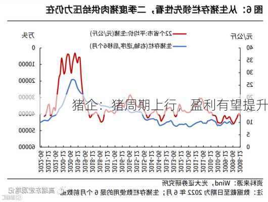 猪企：猪周期上行，盈利有望提升