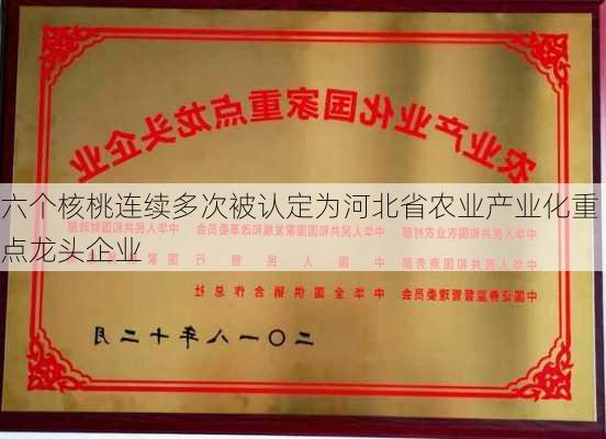 六个核桃连续多次被认定为河北省农业产业化重点龙头企业