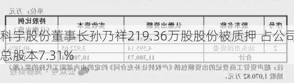 科宇股份董事长孙乃祥219.36万股股份被质押 占公司总股本7.31%