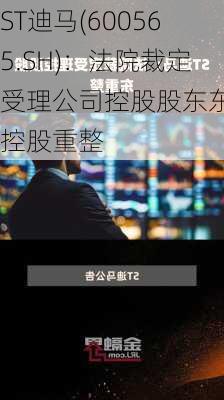 ST迪马(600565.SH)：法院裁定受理公司控股股东东银控股重整