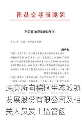 深交所向棕榈生态城镇发展股份有限公司及相关人员发出监管函