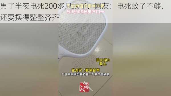 男子半夜电死200多只蚊子，网友：电死蚊子不够，还要摆得整整齐齐