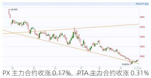 PX 主力合约收涨 0.17%，PTA 主力合约收涨 0.31%