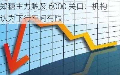 郑糖主力触及 6000 关口：机构认为下行空间有限