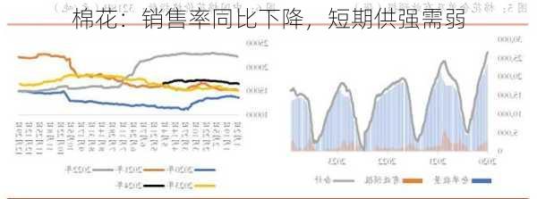 棉花：销售率同比下降，短期供强需弱