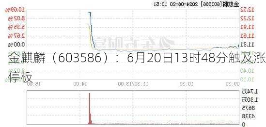 金麒麟（603586）：6月20日13时48分触及涨停板