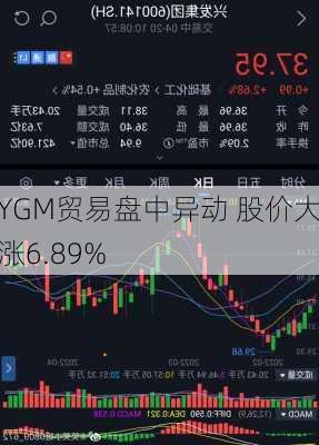 YGM贸易盘中异动 股价大涨6.89%