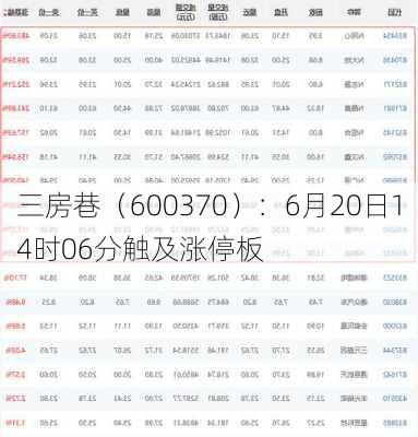 三房巷（600370）：6月20日14时06分触及涨停板