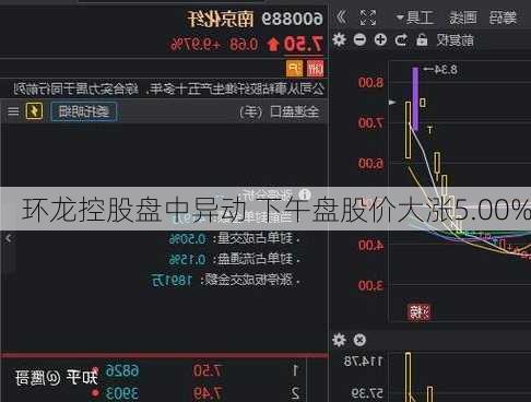 环龙控股盘中异动 下午盘股价大涨5.00%