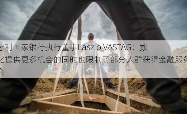 匈牙利国家银行执行董事Laszlo VASTAG：数字化提供更多机会的同时也限制了部分人群获得金融服务的机会