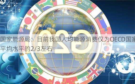 国家能源局：目前我国人均能源消费仅为OECD国家平均水平的2/3左右