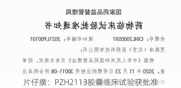 片仔癀：PZH2113胶囊临床试验获批准